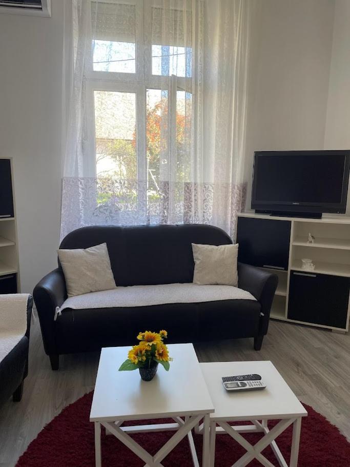 Apartment Milijana Szabadka Kültér fotó