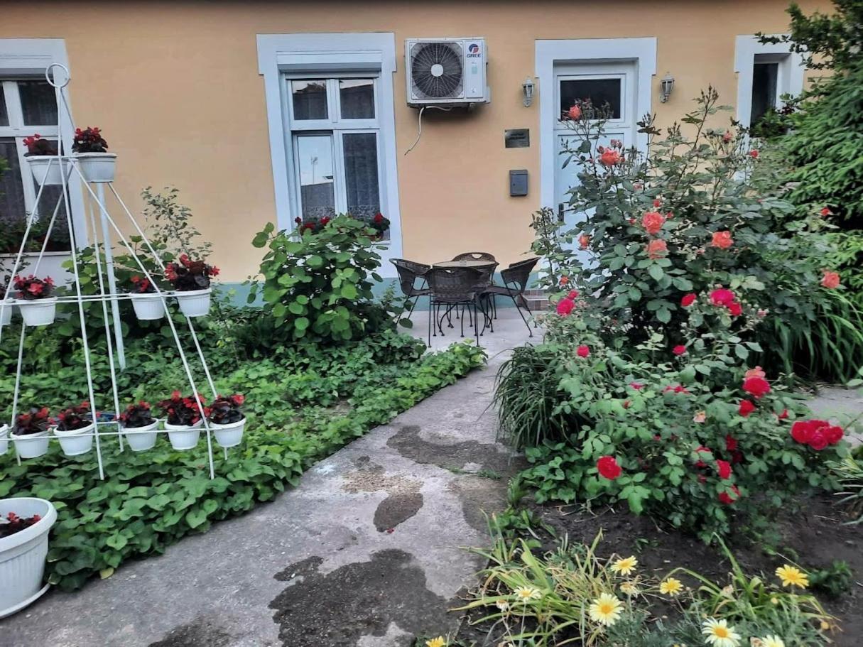 Apartment Milijana Szabadka Kültér fotó